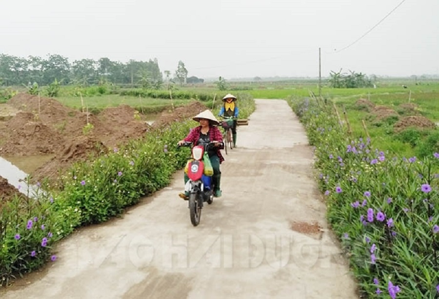 Đường trục chính vào thôn Bồ Nông. Thôn này nằm ở vùng bãi ngoài đê tả sông Kinh Môn.