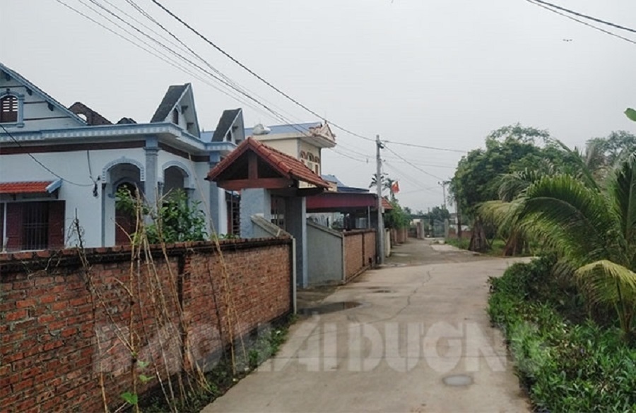 Thôn Bồ Nông, xã Tuấn Việt (Kim Thành) nằm ở vùng bãi ngoài đê tả sông Kinh Môn, chỉ có 60 hộ sinh sống, chủ yếu làm nghề nông.