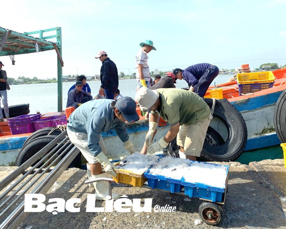 Nhân lực phục vụ phát triển kinh tế biển hiện nay hầu hết là lao động phổ thông. Ảnh: H.T.