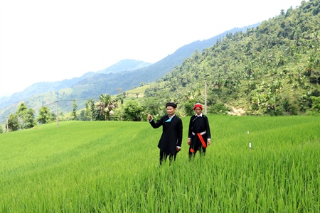 Vợ chồng ông Lý Quốc Thắng, thôn Nặm Đăm.