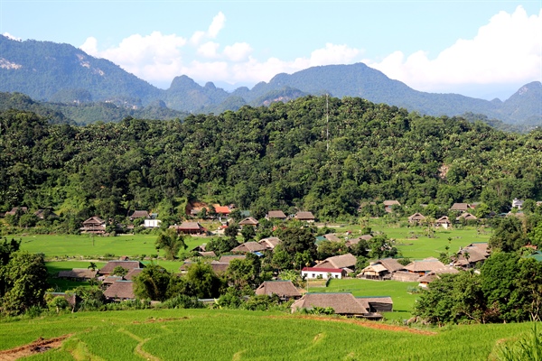 Du khách trải nghiệm hái chè ở Kolia.