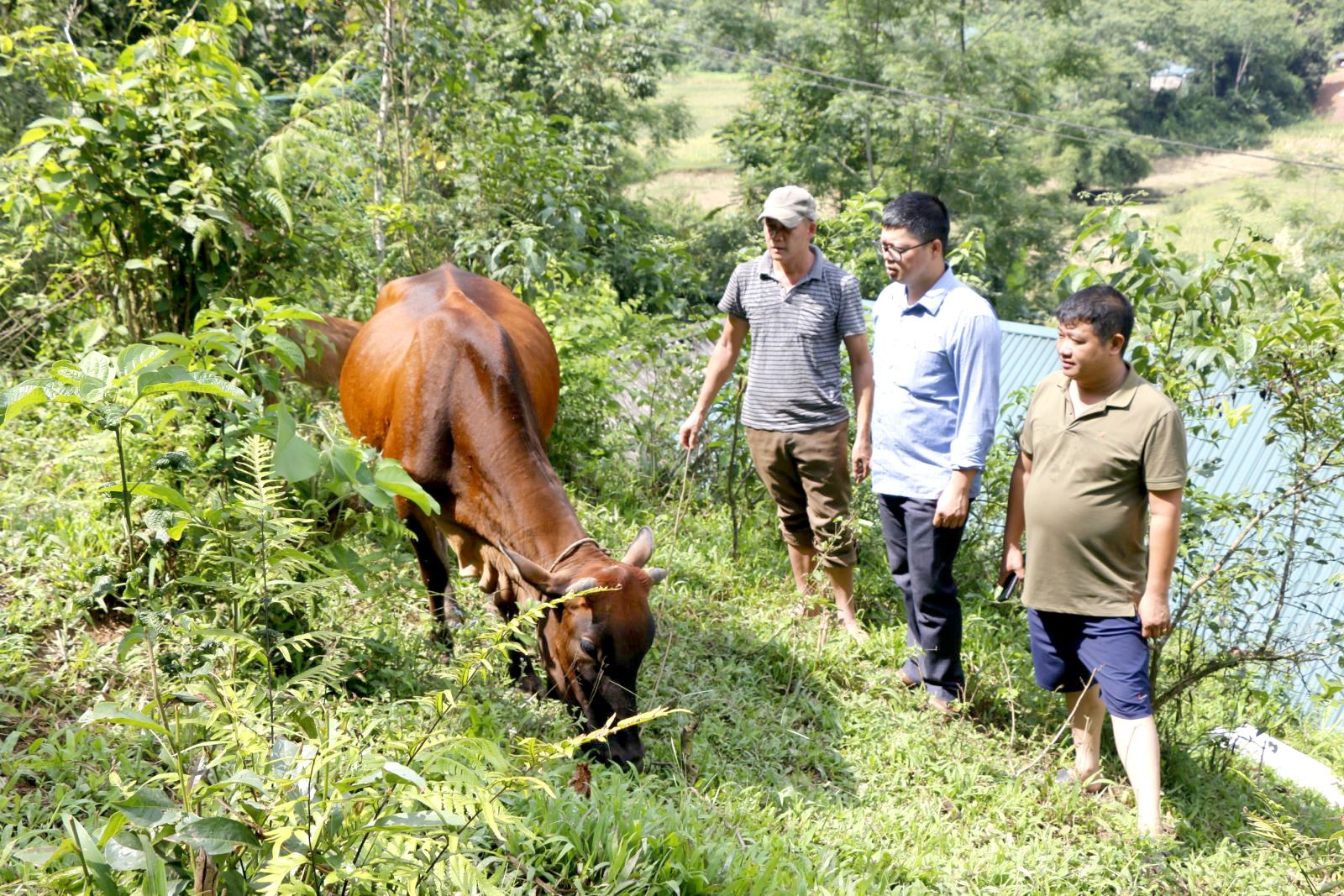 Cán bộ, đảng viên thôn Nà Chác, xã Năng Khả (Na Hang) nắm bắt tình hình phát triển kinh tế của người dân.