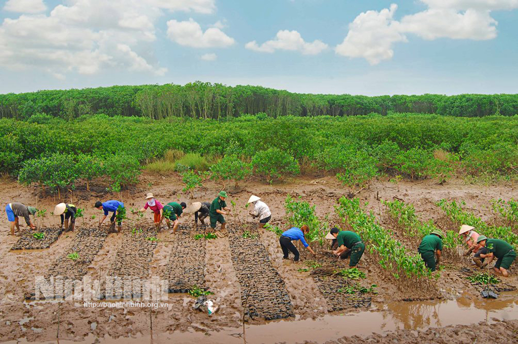 Trồng rừng là một chủ trương lớn của Đảng và Nhà nước được cấp ủy, chính quyền các cấp ở Ninh Bình quan tâm lãnh đạo, chỉ đạo, triển khai thực hiện, huy động được sự tham gia của đông đảo cán bộ, đảng viên và các tầng lớp nhân dân.
